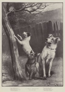 Une grande tentation - Fannie Moody